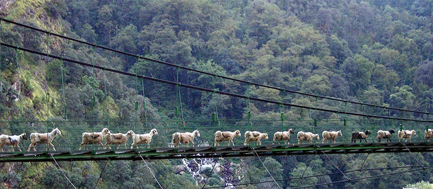 Kumaon Himalayan Retreat 5